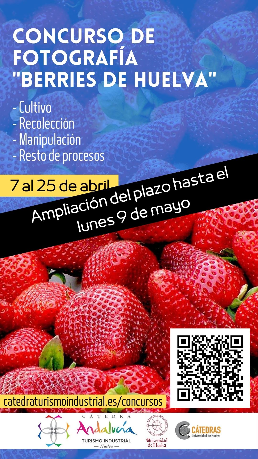 Concurso Fotografía Berries de Huelva Cátedra Turismo Industrial Huelva